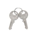 Spare standard key set for selector switches or mushroom head buttons