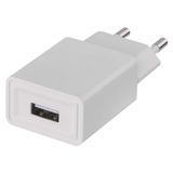 Universal USB Wall Charger 1,0A (5W)