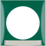 Frame, with labelling field, Integro Flow, green glossy