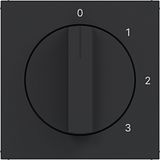 Central plate 3-position switch, neutral position, A.x/C.x matte black
