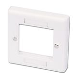 Single Gang Snap In Face Plate (2 Module) Ideal for use with a our range of  modular snap in audio and video extenders!