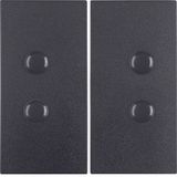 Rocker 2gang, B.3/B.7, ant., matt