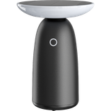 Mushroom Solar Light Black