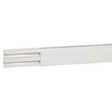 Molding with partition - section 32x12.5