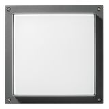 BLIZ SQUARE 40 LED 39W 4K DALI ANTR.