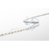 STRIP LED ACCENTO PRO