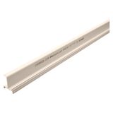 PLASTIC WALL DUTCH PARTITION BULKHEAD 60MM 2M