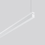 Less is more 21, 20 W, 2050 lm, 830, white, DALI Pendant luminaires, L