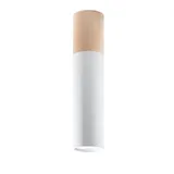 SPOT PABLO WHITE GU10 1X40W IP20