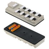 Backplane bushing, SL 3.5, M12, 30 V, A-coded, LED: Yes, LED initiator: Yes, Wiring type: PNP