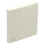 ROCKER F/SWITCHES W/LOCK SYMBOL IVORY