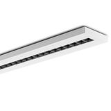 FLEXILED 4SM23S/A840WH9016LB1200/150DALI