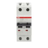 ST202M-B32 Miniature Circuit Breaker - 2P - B - 32 A