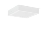 TOLEDO FLAT+ square, 24 W, 3050 lm, 830, 840, white, on/off Surface mo
