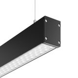 LINEDO single IP54, 31 W, 4550 lm, 830, black, DALI Pendant luminaires