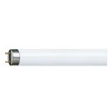 30W/25-740 T8 Philips