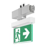 LINEDO, silver, on/off Continuous line luminaire, L 336 B 62 H 343, SB
