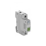 PILOT LAMP WITH DIFFUSER GREEN