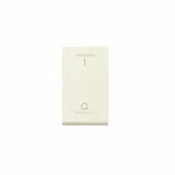 16AX 1 way double pole switch