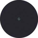 Centre plate for cable out., R.1/R.3/R.classic, black glossy