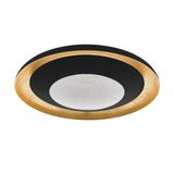 CANICOSA 2 wall/ceiling light 98527