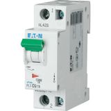 PL7-D6/1N Miniature circuit breaker (MCB), 6 A, 1p+N, characteristic: D