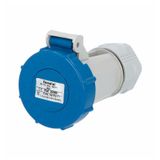 Coupling 24960 IP65-67 230V 16A 3p SCHUKO, blue-grey