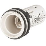Monolithic pilot light body