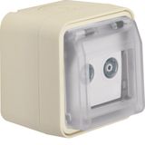 Aerial soc., 2hole hinged cover surf.-mtd, single soc.,W.1, p.white ma