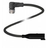 V11-W-BK0,3M-PUR-O1-DT4P-G-Y31 Messrad