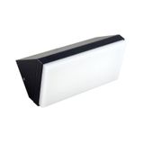 Penelope LED lamp, 9W, 4000K, IP65, black color