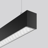 LINEDO single IP20, 31 W, 4850 lm, 840, black, on/off Pendant luminair