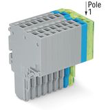 2-conductor female connector Push-in CAGE CLAMP® 1.5 mm² gray/blue/gre