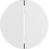Rocker switch 2-way R.Classic polar white, glossy
