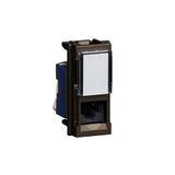 BTNET - L.NOW RJ45 TOOLLESS UTP CAT6 BRONZO