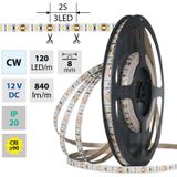 LED strip SMD2835 CW, 120LED/m, 9,6W/m, DC 12V, 840lm/m, CRI90, IP20, 8mm, 5m