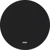 Rocker switch with clear lens R.Classic black, glossy