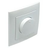 FERROMAG DIM/2-WAY SWITCH 500 VA R, L ICE