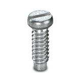 SCR MT 1,5 - Screw