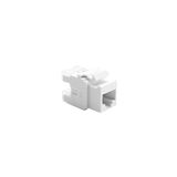 RJ45 cat. 6 UTP computer socket insert, Molex