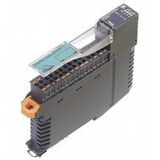 VBA-4E4A-KE5-ZEJQ/E2L protective cap
