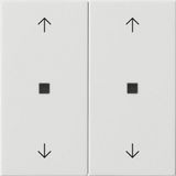 rocker 2-g arrows ctrl.win. System 55 p.white