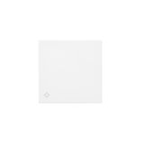 Single button for switches and push buttons, antibacterial white