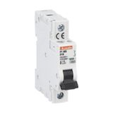 Miniature circuit breaker, 1P - 10kA. 1 module, characteristic D, 2A