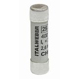 CH8 gG 1A 400V fuse