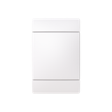 2538-100-916 CENTRE PLATE