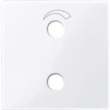 Central plate for radio unit, active white glossy, system M