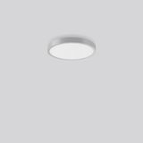 TRIONA round, 38 W, 3250 lm, 827-865, silver, DALI Ceiling and wall lu