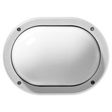 EKO+19 LED 830 WIT10W