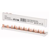 Z-SV-16/1P+N-F/9 Busbar, 1Ph, 16qmm, 9 module
